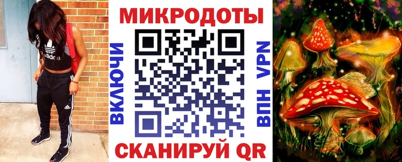 Псилоцибиновые грибы Psilocybe  Лесозаводск 